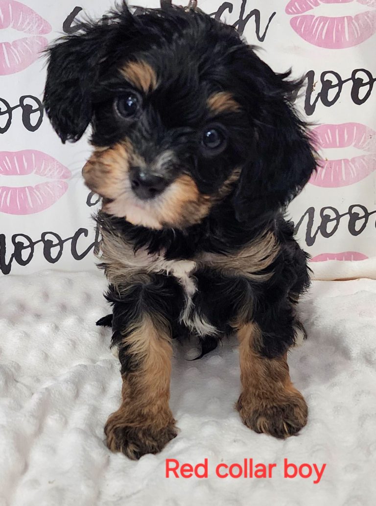 Look at the EYES