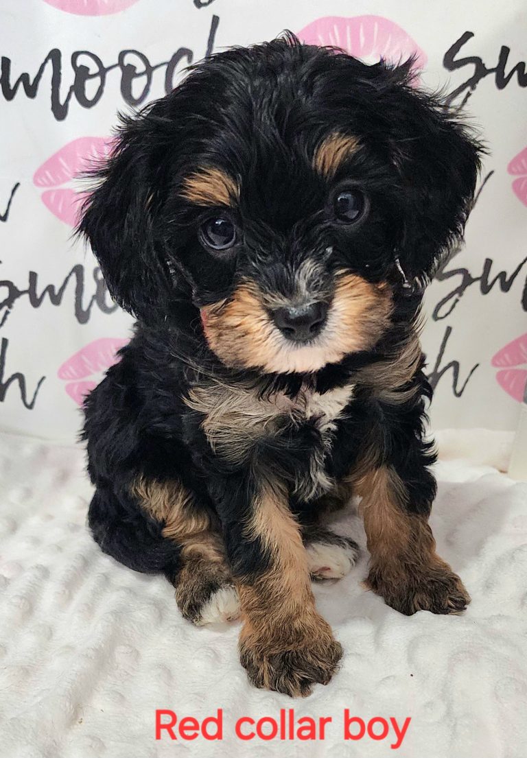 Super cute!