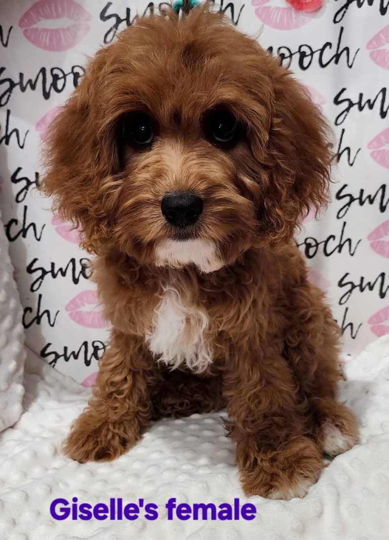 20251015_174302_resized