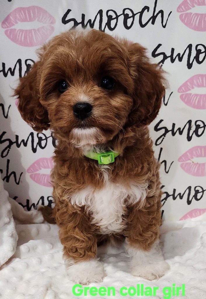 Ruby green collar girl 3