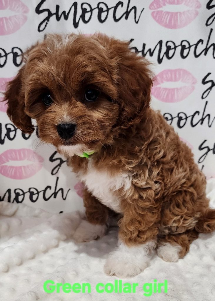 Ruby green collar girl