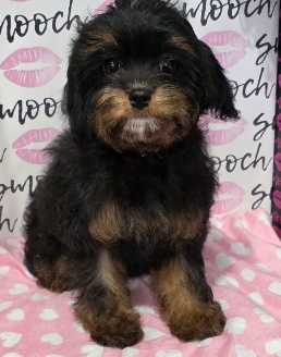 20251210_150308_resized