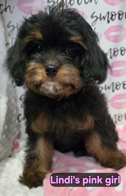 20251210_150616_resized