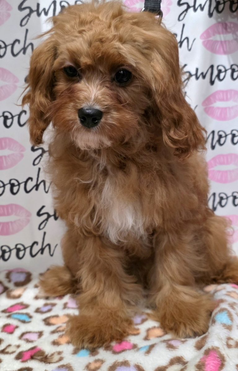 20260106_151741_resized