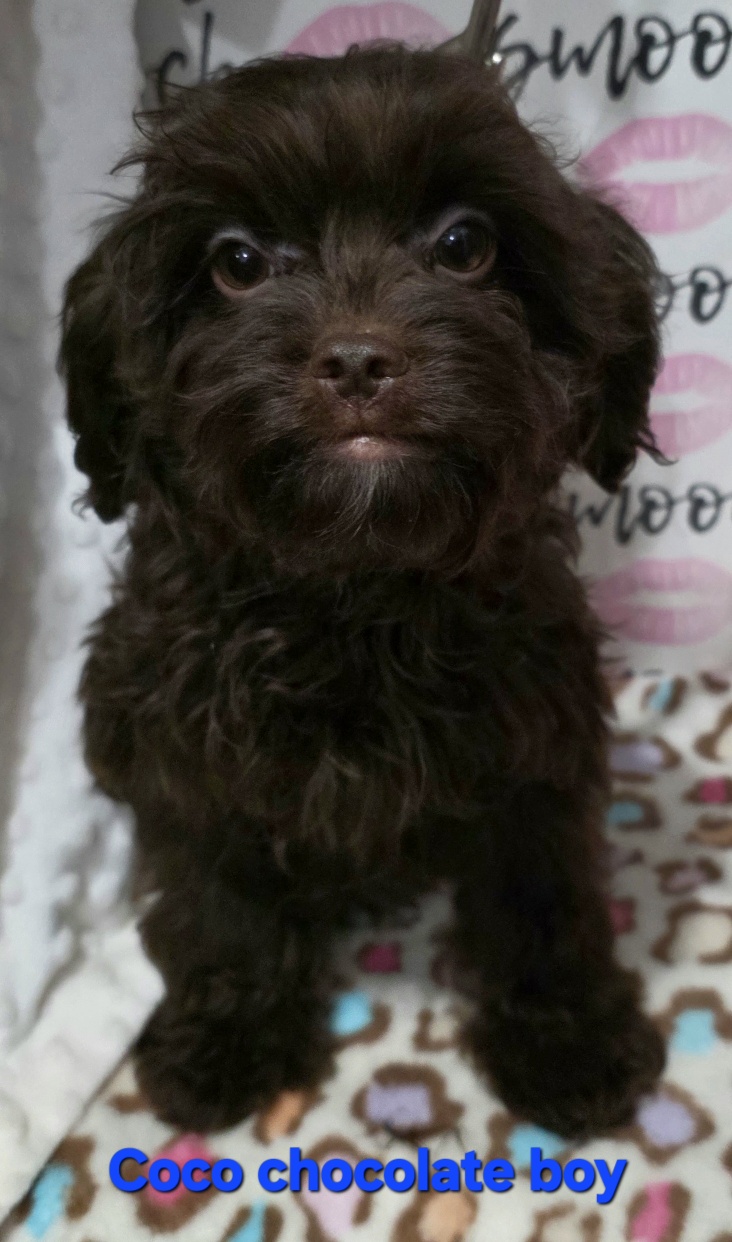 20260106_154410_resized